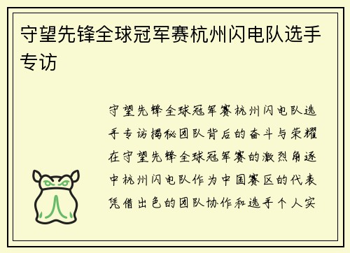 守望先锋全球冠军赛杭州闪电队选手专访