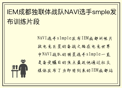 IEM成都独联体战队NAVI选手smple发布训练片段